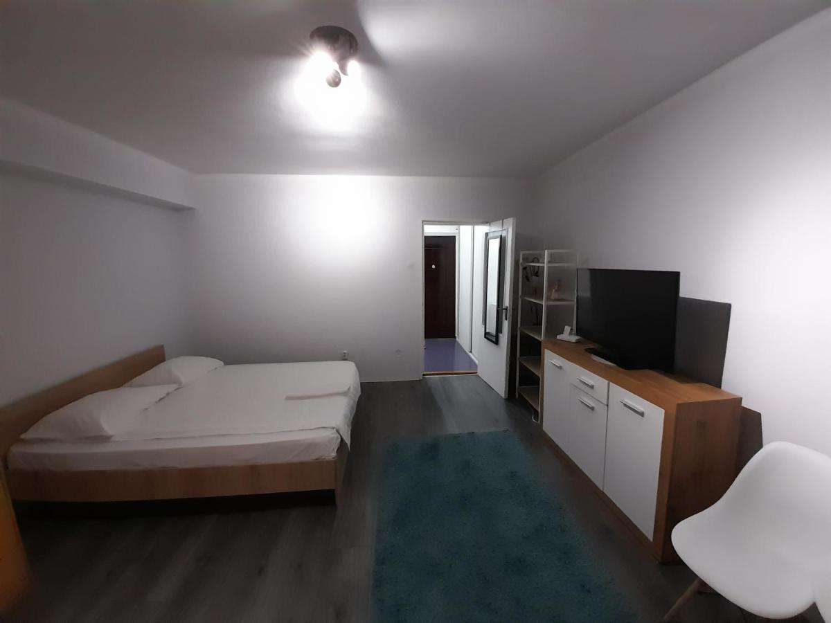 Bega Circumvalatiunii 1 Room Apartment Timişoara Exterior foto
